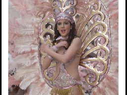 Carnaval de Mula 2014